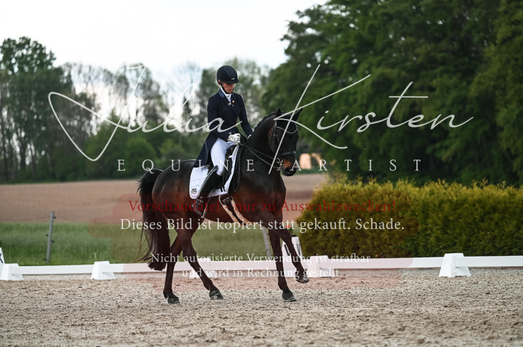 20230514_JK-Röhrsdorf-21-346 | Pferde- und Turnierfotografie in Westsachsen. Pferdeportraits, Auftragszeichnungen und intuitive Kunst.