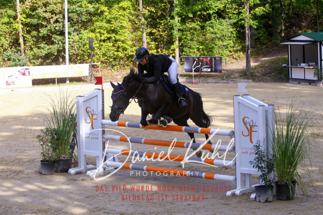 DKP42360 | Deine Turnierfotos vom Reitturnier online kaufen: Dressur, Springen & Siegerehrung. Professionelle Pferdefotografie aus dem Rheinland – als Download & Print.Alternative: Turnierfotograf für den Pferdesport: Finde deine Fotos von Dressur- und Springturnier