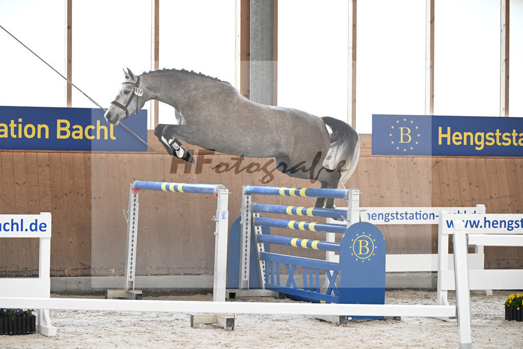 Kat-Nr. 34 Kalea v. Vingino_Bachl_5251578 | hf-fotografie - Realisiert mit Pictrs.com