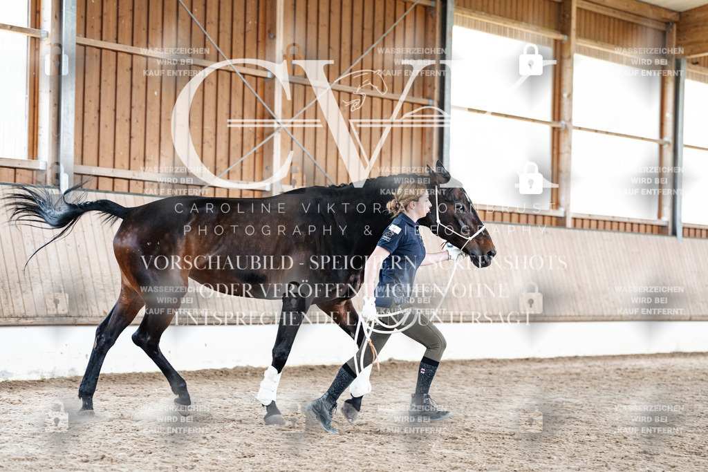 CK908094 | Turnierfotografie Pferdefotografie Trier Rheinland-Pfalz Pferdesport Reitsport Tierfotografie Sportfotografie Pferdevideo Pferdevideografie Equestrianvideography equestrianphotography  - Realisiert mit Pictrs.com