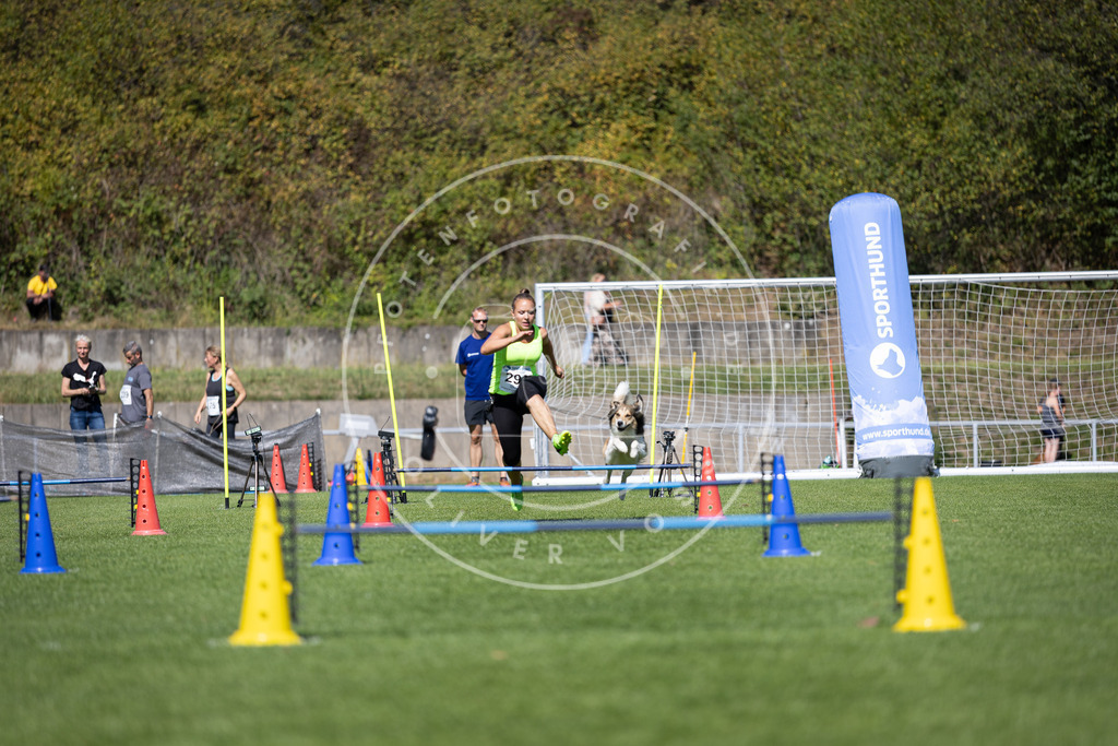 Pfotenfotografie_DV3A7404 | Hundefotografie, Tierfotograf, Pfotenfotografie, Fotoshooting Hund, Hunde Portrait, Hundesport, Hundeportraits, Heideshooting, Hunde, Sportfotograf, Hundefotograf, Turnierhundsport, THS,  - Realisiert mit Pictrs.com
