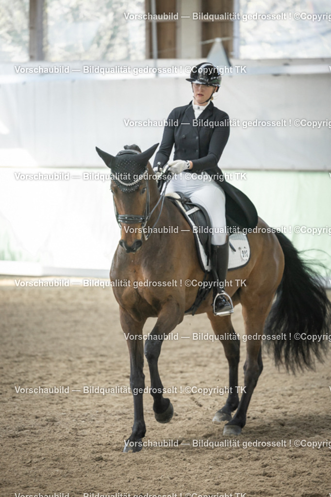 _D5A4836 | Emotionale Pferde- & People-Fotografie rund um Heidelberg, Leimen & Umgebung. Natürliche Fotos von Pferd, Mensch & Familie. Jetzt Termin sichern!