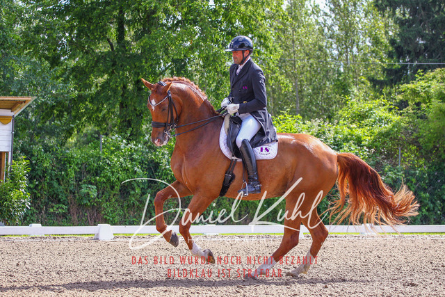DKP41335 | Turnierfotos kaufen im Webshop von Daniel Kuhl Photography – entdecke professionelle Reitsportfotos aus Turnieren & Events. Hochwertige Turnierbilder online bestellen & sichern. Jetzt Fotos von Reitsportturnieren kaufen!