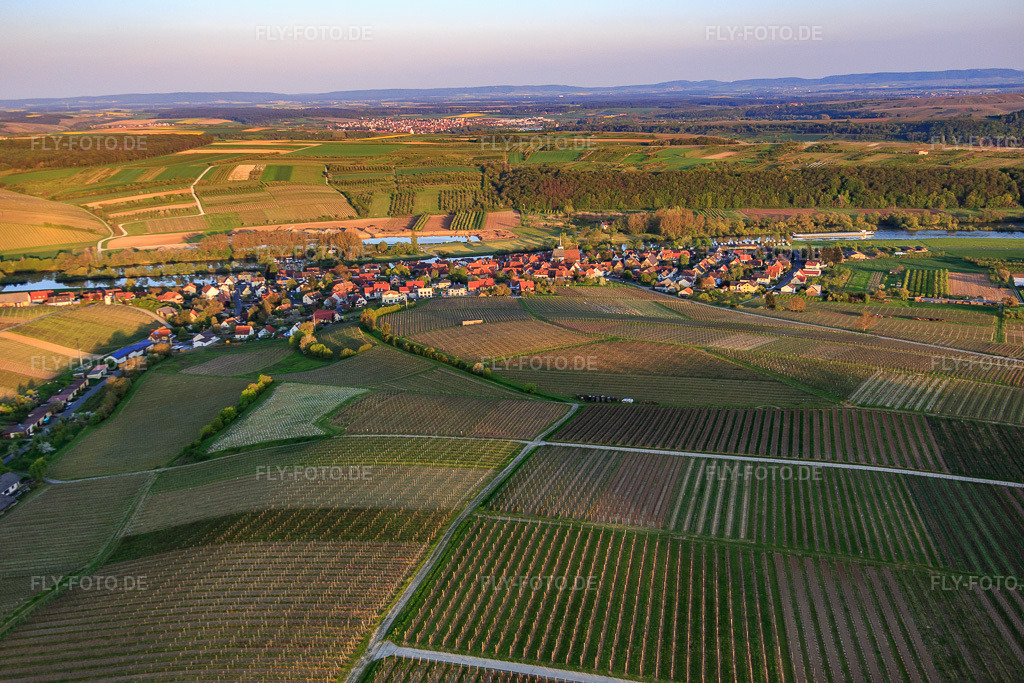 Luftbild: Winzerdorfansciht aus Westen zwischen Rebbergen und Main im Ortsteil Obereisenheim in Eisenheim im Bundesland Bayern in Deutschland. Foto: IMG_087870.jpg vom 05.05.2016 durch Werner Riehm/FLY-FOTO.de