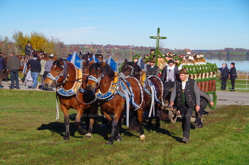 IMGP7528 | fotografiert von Axel PollmannLeonhardi Wallfahrt Benediktbeuern und Murnau, Fronleichnam, Fasching, Landschaft im Loisachtal und Benediktbeuern  - Realisiert mit Pictrs.com