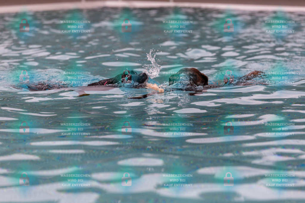 _HP_6302_1000o | HetPix, HetPix Fotodesign, Fotografie, Fotodesign, Webshop, Sportfotografie, Portraitfotografie, Onlineshop, Sportfotografie, Polch, Motorsportfotografie, Eventfotografie