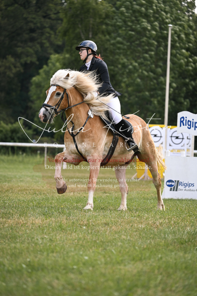 DSC_9054 | Pferde- und Turnierfotografie in Westsachsen. Pferdeportraits, Auftragszeichnungen und intuitive Kunst.