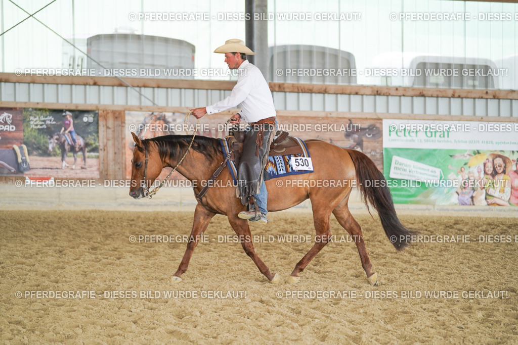 DSC00797 | Pferdegrafie