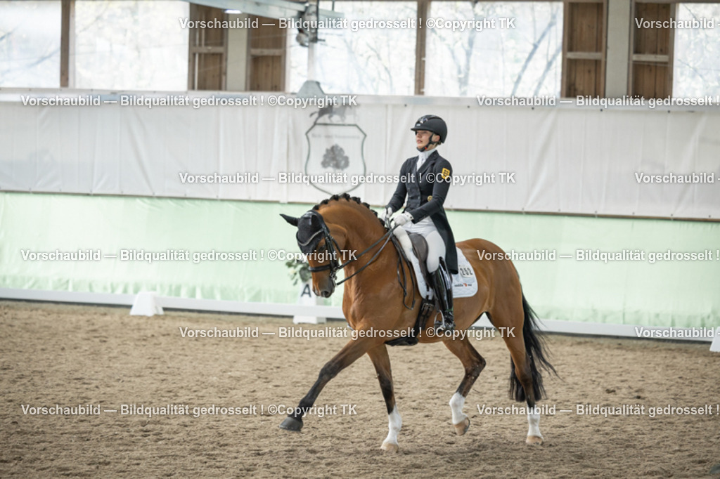 _D5A5932 | Emotionale Pferde- & People-Fotografie rund um Heidelberg, Leimen & Umgebung. Natürliche Fotos von Pferd, Mensch & Familie. Jetzt Termin sichern!