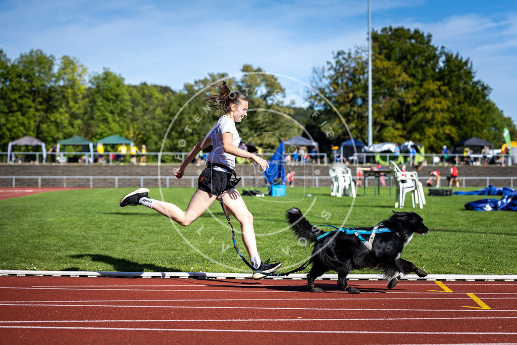 Pfotenfotografie_DV3A8023 | Hundefotografie, Tierfotograf, Pfotenfotografie, Fotoshooting Hund, Hunde Portrait, Hundesport, Hundeportraits, Heideshooting, Hunde, Sportfotograf, Hundefotograf, Turnierhundsport, THS,  - Realisiert mit Pictrs.com
