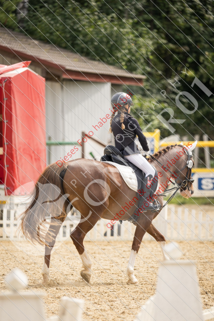 CON_0179 | Sport-, Event- und Tierfotos in Profiqualität. Einfach auswählen, bestellen und herunterladen. Dein Moment – perfekt festgehalten.