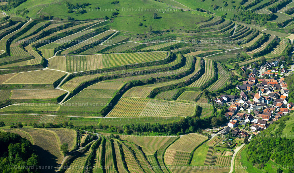3096250 | Terrassenweinberge, Kaiserstuhl bei Schelingen