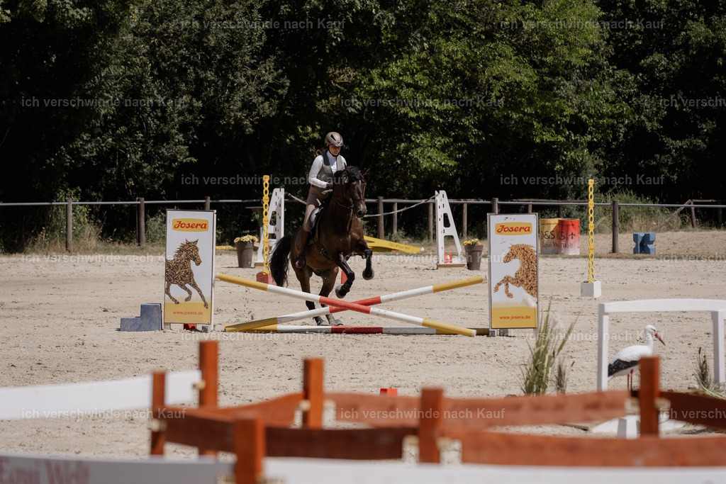 WM_SP_131_SinaFilmArt_IN06840 | working equitationturnier fotograf videograf stoibphotography marixx film working equitation deutschland reitsport turnierfotografie eventfotografie equestrian events