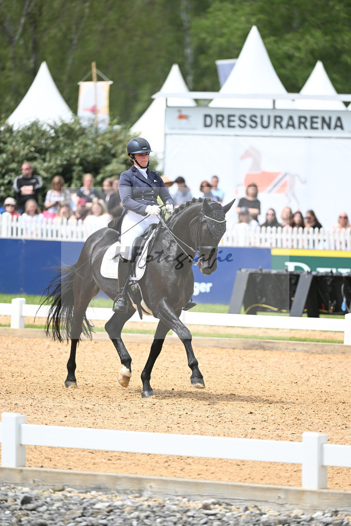 Merk_Sambuco_11233609 | hf-fotografie - Realisiert mit Pictrs.com