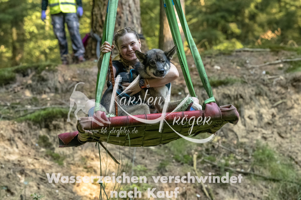 0944_ZZ91744-Bearbeitet | kk-dogfotos
