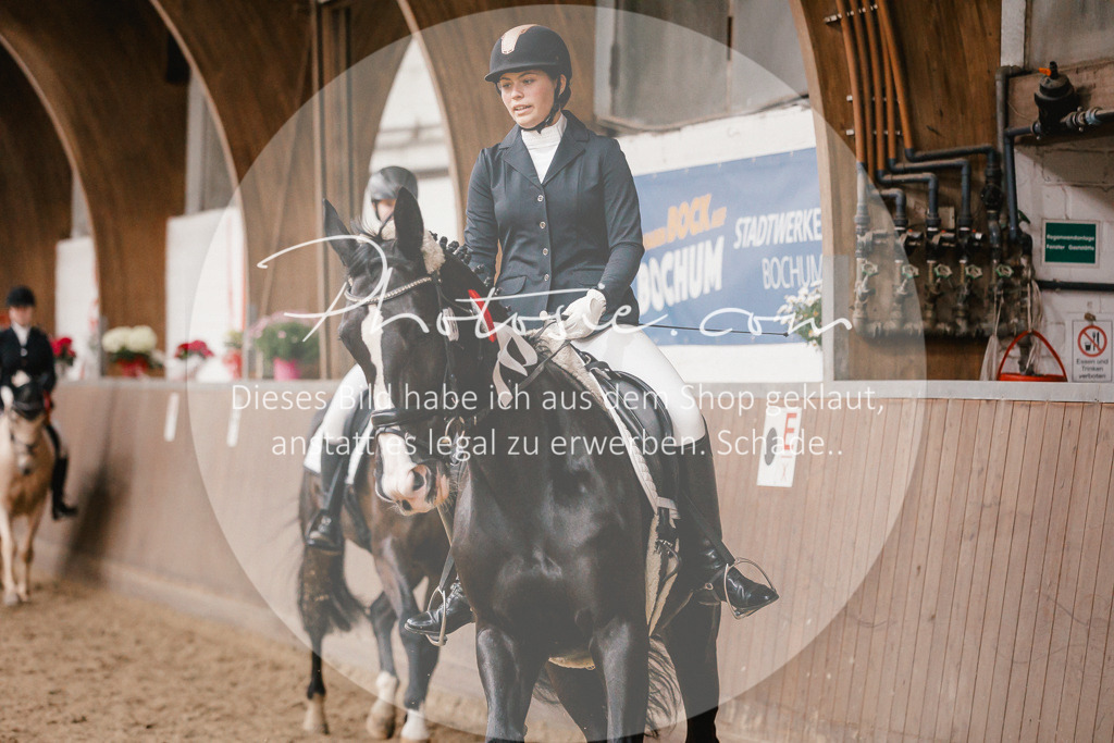 3I6A8023 | Stimmungsvolle Portraits und Reitsportfotografie im Ruhrgebiet und im Münsterland.

Pferdefotografie, Hundefotografie, Tierfotografie, Reportagen, Portraits von Tier und Mensch, Turnierfotografie in Bochum, Recklinghausen, Marl, Haltern am See, Dülmen.. - Realisiert mit Pictrs.com