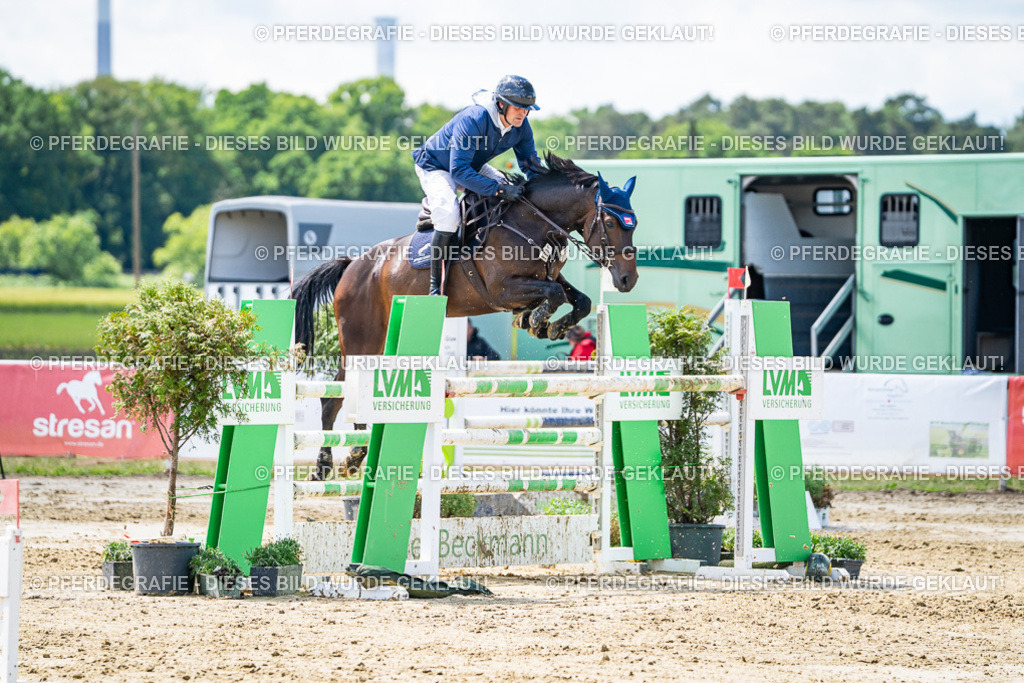 DSC04998 | Pferdegrafie