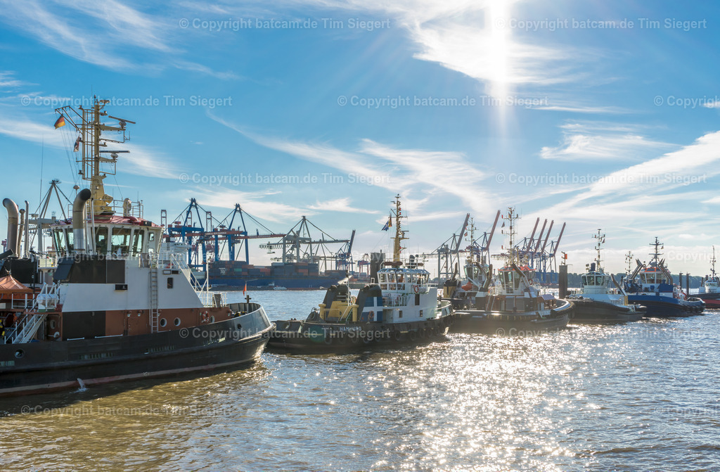 Hamburg-Neue Schlepperbrücke1 | batcam.de - Realisiert mit Pictrs.com