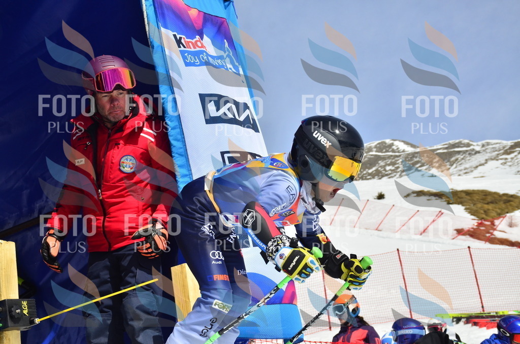 _ELE1436 | holidayphoto