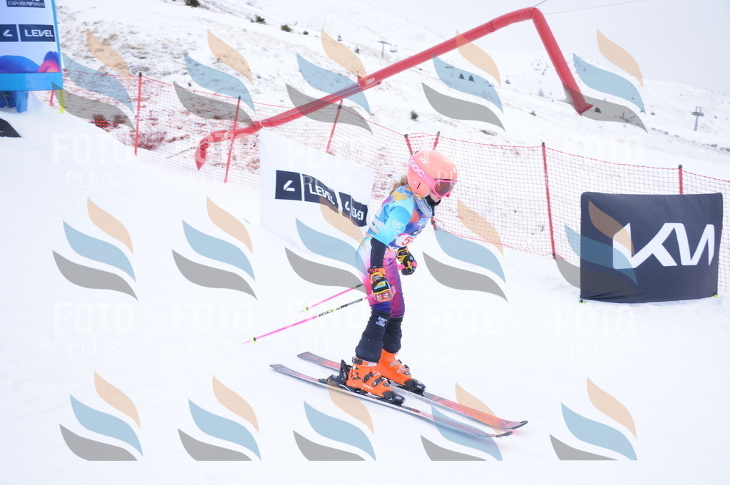 DSC_7987 | holidayphoto