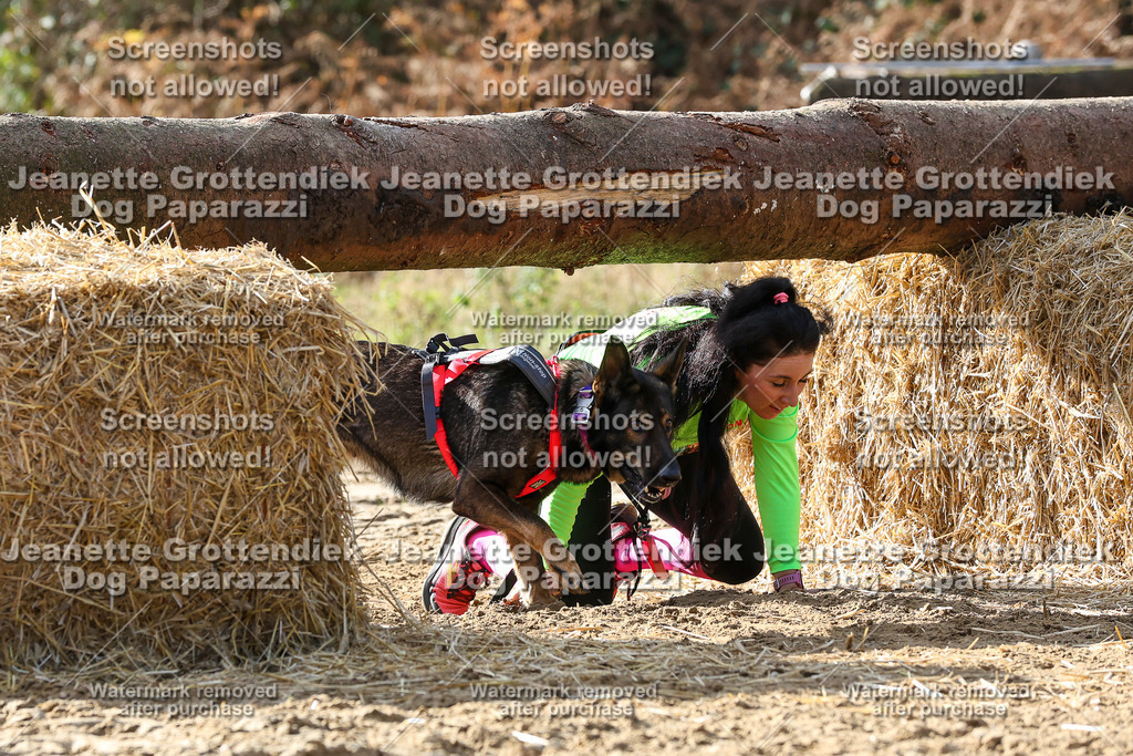 Dog Paparazzi - Strongdog 10-25-5867 | Dog Paparazzi Jeanette Grottendiek Fotografie & Videografie - Realisiert mit Pictrs.com