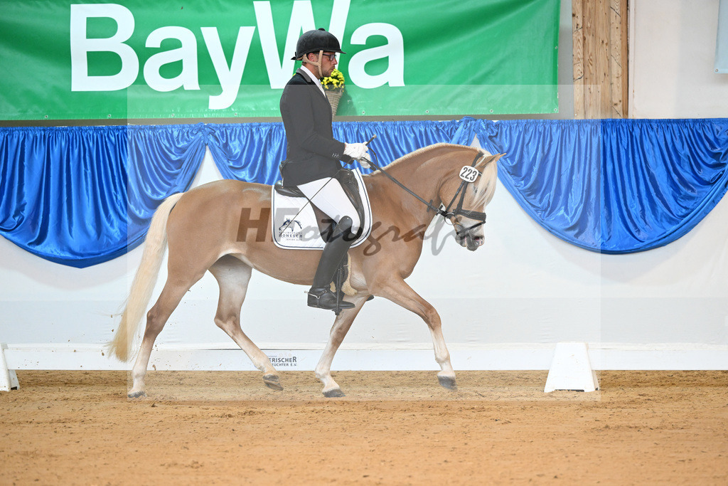 Kat-Nr. 223 Lizt van de Honesch_ZG Slot_54221627 | hf-fotografie - Realisiert mit Pictrs.com