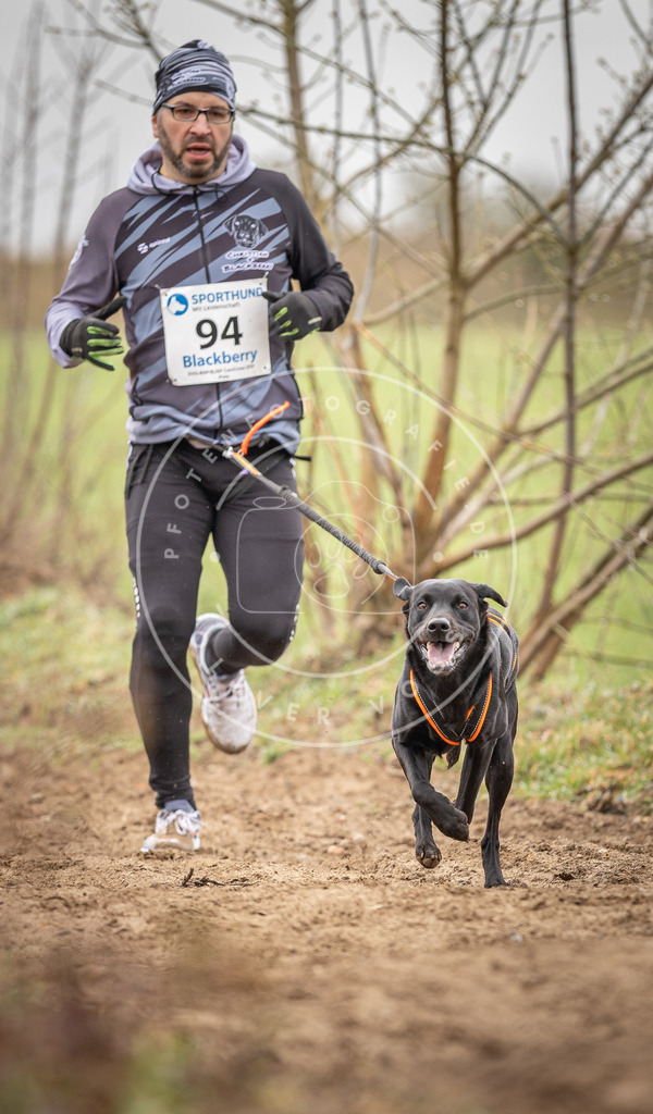 DV3A0054 | Hundefotografie, Tierfotograf, Pfotenfotografie, Fotoshooting Hund, Hunde Portrait, Hundesport, Hundeportraits, Heideshooting, Hunde, Sportfotograf, Hundefotograf, Turnierhundsport, THS,  - Realisiert mit Pictrs.com