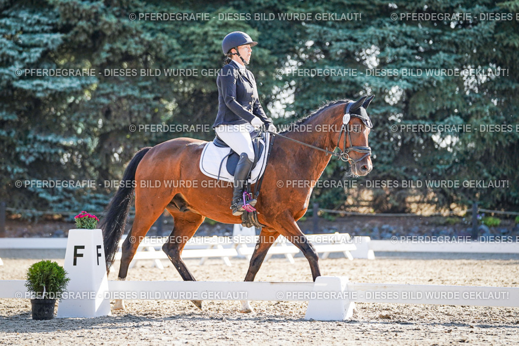 DSC09056 | Pferdegrafie