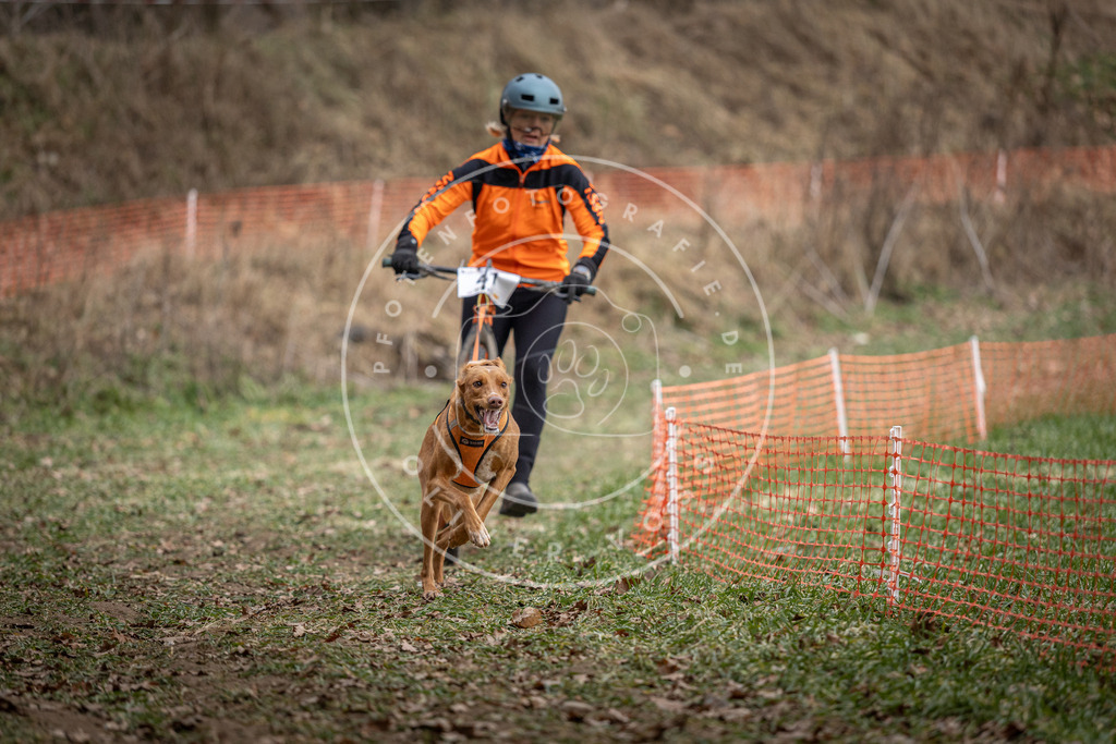 Pfotenfotografie_DV3A0420 | Hundefotografie, Tierfotograf, Pfotenfotografie, Fotoshooting Hund, Hunde Portrait, Hundesport, Hundeportraits, Heideshooting, Hunde, Sportfotograf, Hundefotograf, Turnierhundsport, THS,  - Realisiert mit Pictrs.com