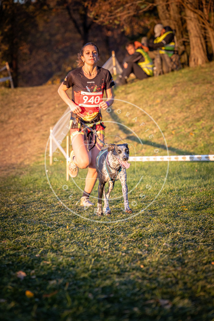 CaniXpix_0L8A1886 | Hundefotografie, Tierfotograf, Pfotenfotografie, Fotoshooting Hund, Hunde Portrait, Hundesport, Hundeportraits, Heideshooting, Hunde, Sportfotograf, Hundefotograf, Turnierhundsport, THS,  - Realisiert mit Pictrs.com