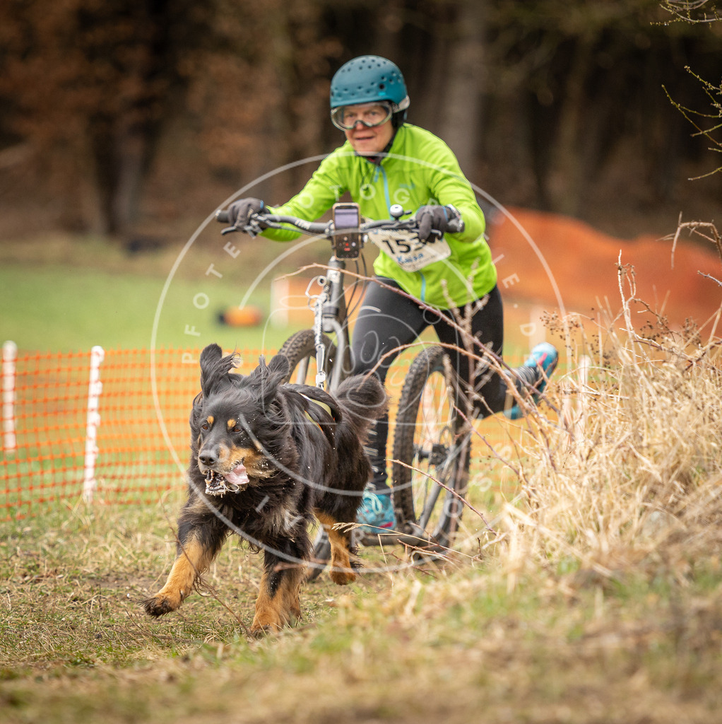 DV3A1645 | Hundefotografie, Tierfotograf, Pfotenfotografie, Fotoshooting Hund, Hunde Portrait, Hundesport, Hundeportraits, Heideshooting, Hunde, Sportfotograf, Hundefotograf, Turnierhundsport, THS,  - Realisiert mit Pictrs.com