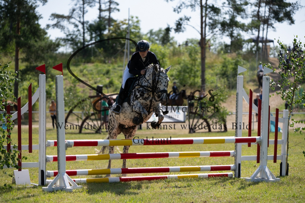 A7V05624 | Pferdefotograf