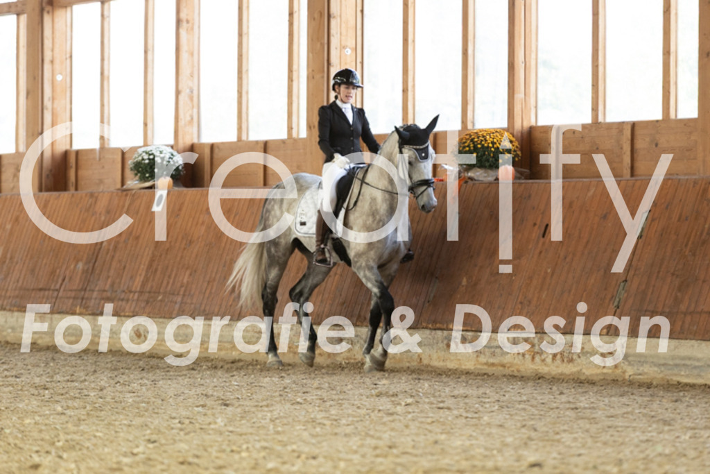 IMG_6161 | Creatify Fotografie