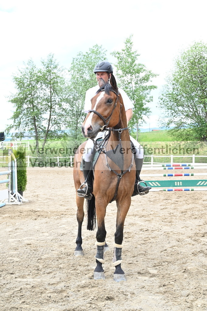 DSC_8532 | equestrian-live-com