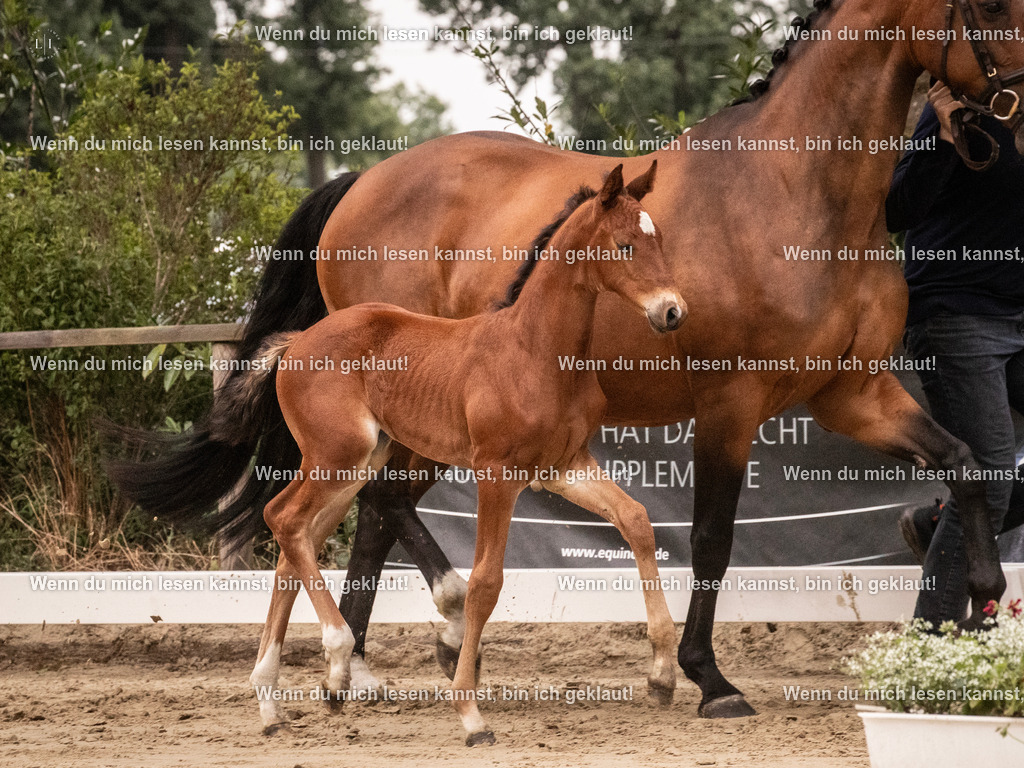 A10I3916 15.58.11 | photographylinaismer - Realisiert mit Pictrs.com