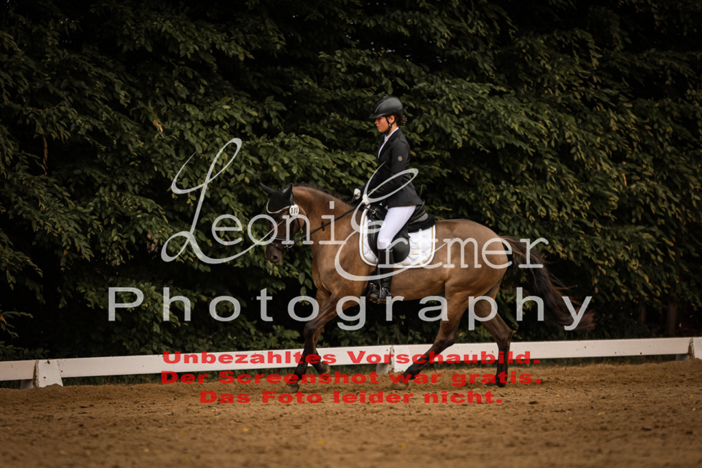 DoDrE00378 | Leoni Ertmer Photography - Realisiert mit Pictrs.com
