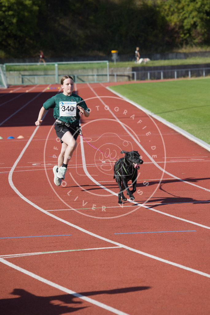 0L8A8893 | Hundefotografie, Tierfotograf, Pfotenfotografie, Fotoshooting Hund, Hunde Portrait, Hundesport, Hundeportraits, Heideshooting, Hunde, Sportfotograf, Hundefotograf, Turnierhundsport, THS,  - Realisiert mit Pictrs.com