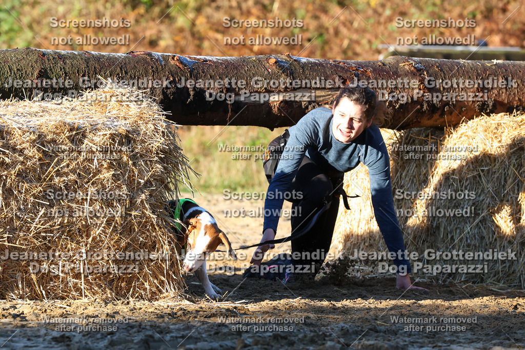Dog Paparazzi - Strongdog 10-25-869 | Dog Paparazzi Jeanette Grottendiek Fotografie & Videografie - Realisiert mit Pictrs.com