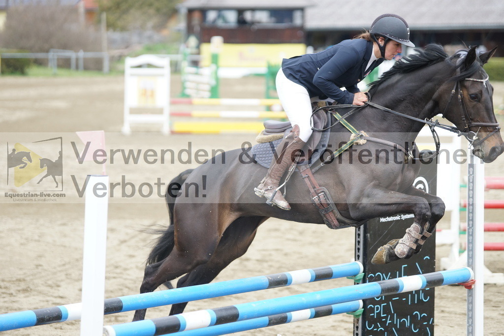 DSC01195 | equestrian-live-com