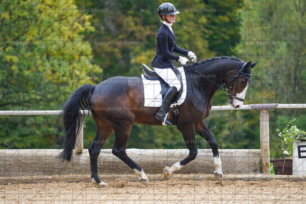 20221008-FAH01069 | Diessen am Ammersee, 2022, Dressur- und Springturnier, Reitsportbilder, Turnierfotografen Bayern, Pferdefotografen, Fotoagentur Herrmann, Turnierbilder