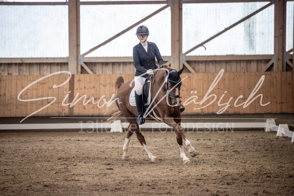20251011-_3LI0362 | Tierfotografie Pferde, Hunde, Katzen, Haustiere.
Turnierfotografie Reitturniere, Reiten, Springreiten, Dressur in Hanau, dem Main-Kinzig-Kreis und dem Rhein-Main- Gebiet um Frankfurt