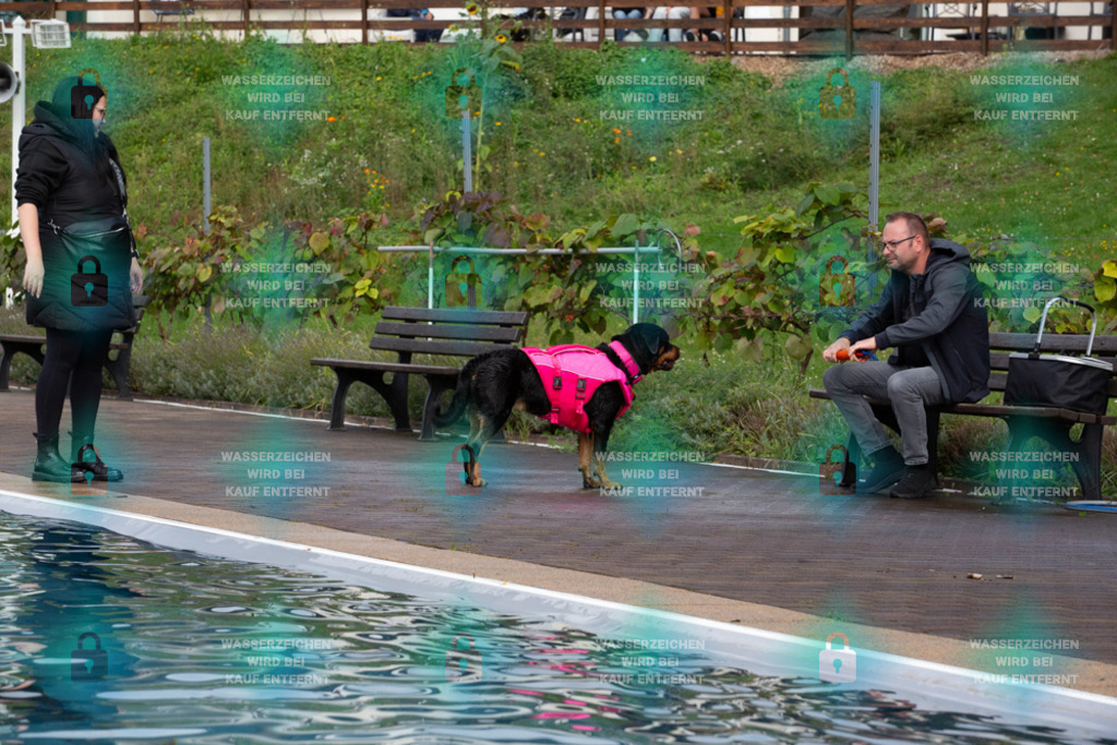 _HP_7594_1000o | HetPix, HetPix Fotodesign, Fotografie, Fotodesign, Webshop, Sportfotografie, Portraitfotografie, Onlineshop, Sportfotografie, Polch, Motorsportfotografie, Eventfotografie