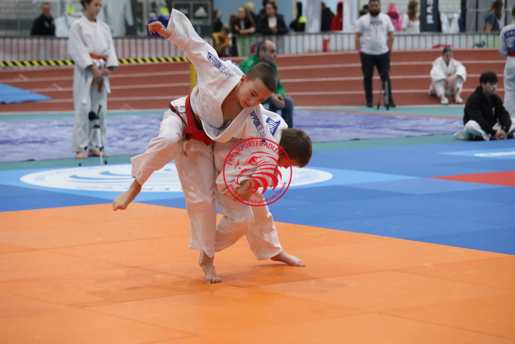 1J7A2375 | Fotos vom Adler Cup - Pictures from Adler Cup

Hier findet Ihr alle Eindrücke und großen Momente der Adler Cup Wochenenden. Here you will find all impressions and great moments of the Adler Cup weekends. - Realisiert mit Pictrs.com