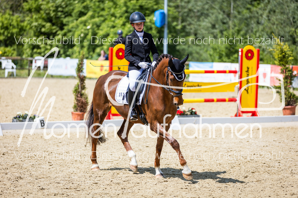 Donop24-EDre-016 | MomenTaufnahmen Pferdesportfotos