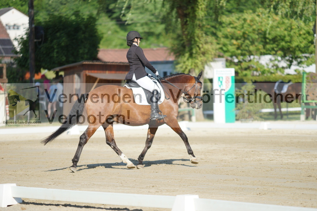 DSC04085 | equestrian-live-com
