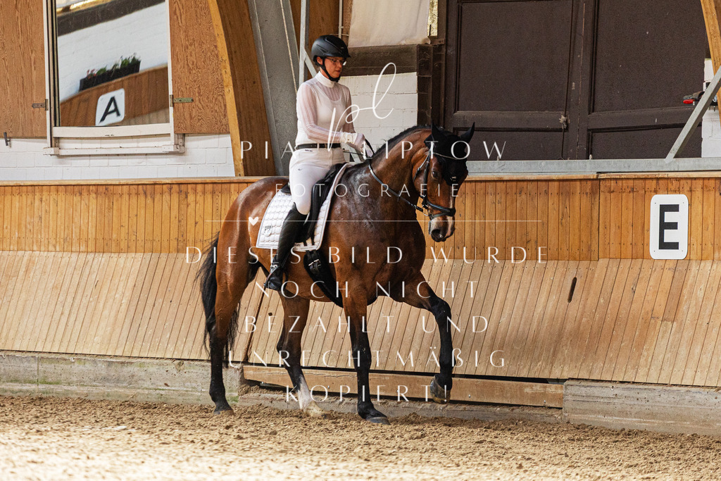 IMGS2923 | pl-fotografie