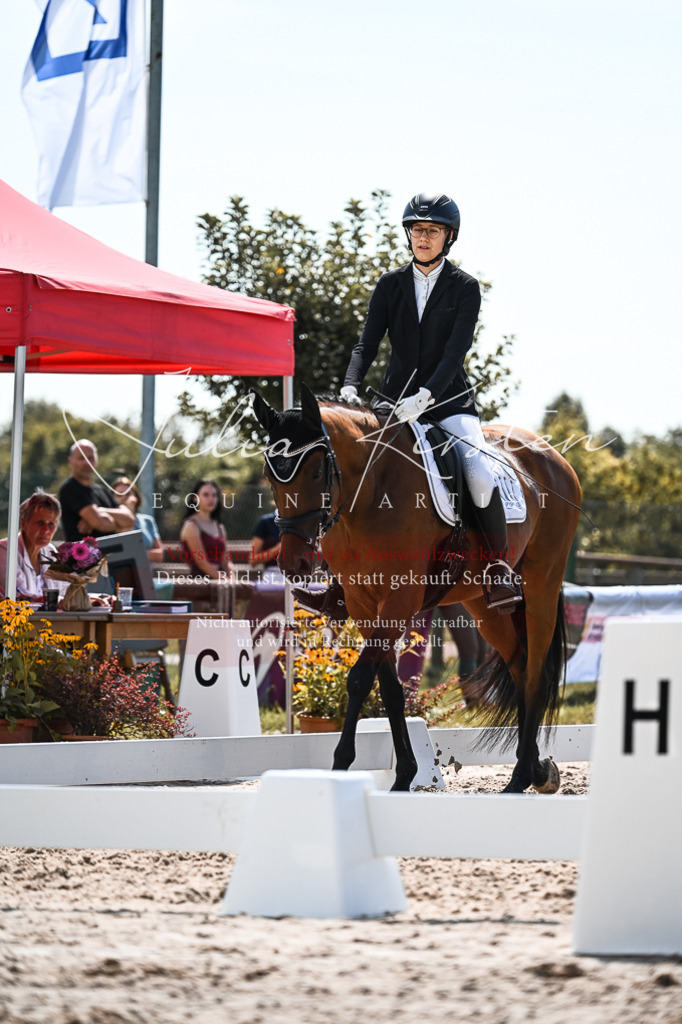 DSC_5475 | Pferde- und Turnierfotografie in Westsachsen. Pferdeportraits, Auftragszeichnungen und intuitive Kunst.