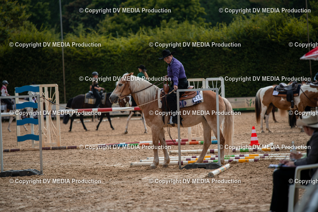 ZS2_7721 | dv-media-shop - Realisiert mit Pictrs.com