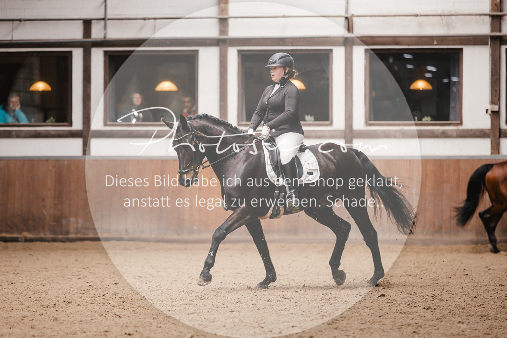 3I6A7475 | Stimmungsvolle Portraits und Reitsportfotografie im Ruhrgebiet und im Münsterland.

Pferdefotografie, Hundefotografie, Tierfotografie, Reportagen, Portraits von Tier und Mensch, Turnierfotografie in Bochum, Recklinghausen, Marl, Haltern am See, Dülmen.. - Realisiert mit Pictrs.com