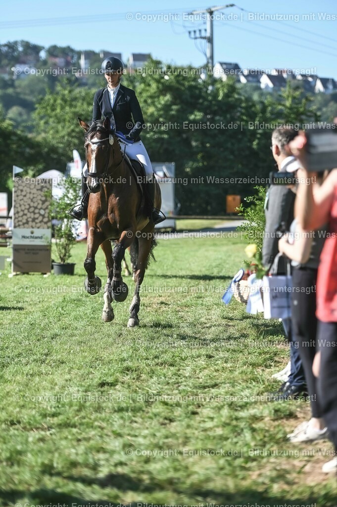 20230909_12_Stilspringen_A_0259 | equistock